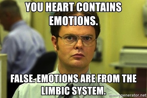 You Heart Contains Emotions False Emotions Are From The Limbic System